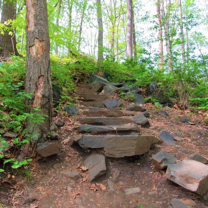 Near Oella Mill Race Trail
