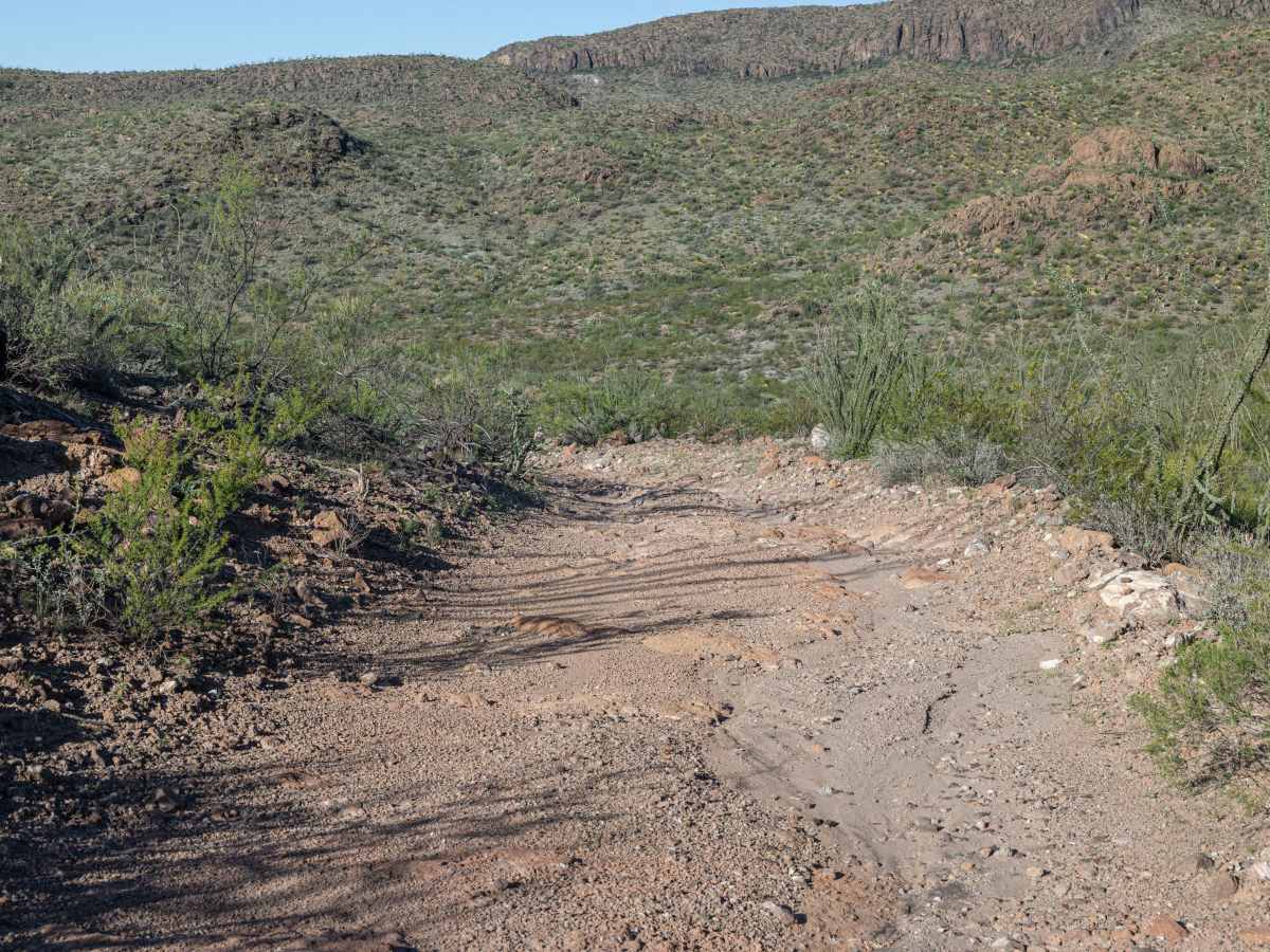 BBRSP La Mota Road photo 3