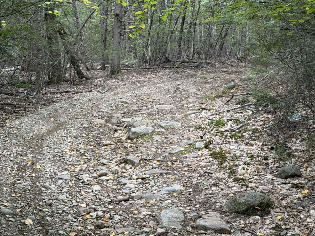 Marsh Ridge Road photo 5
