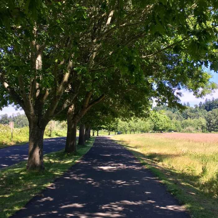 Near Oxbow Slough Loop