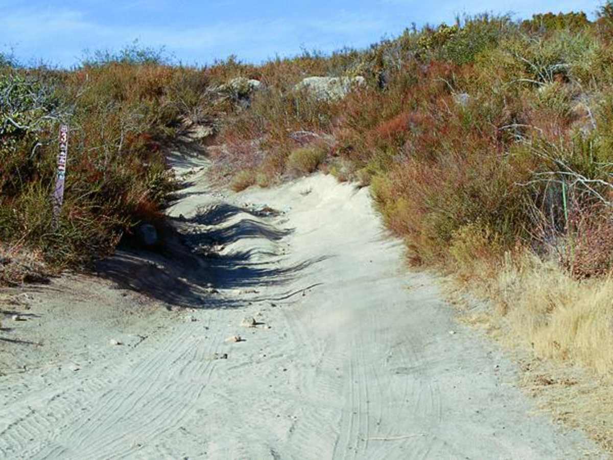 Bronco Peak photo 2