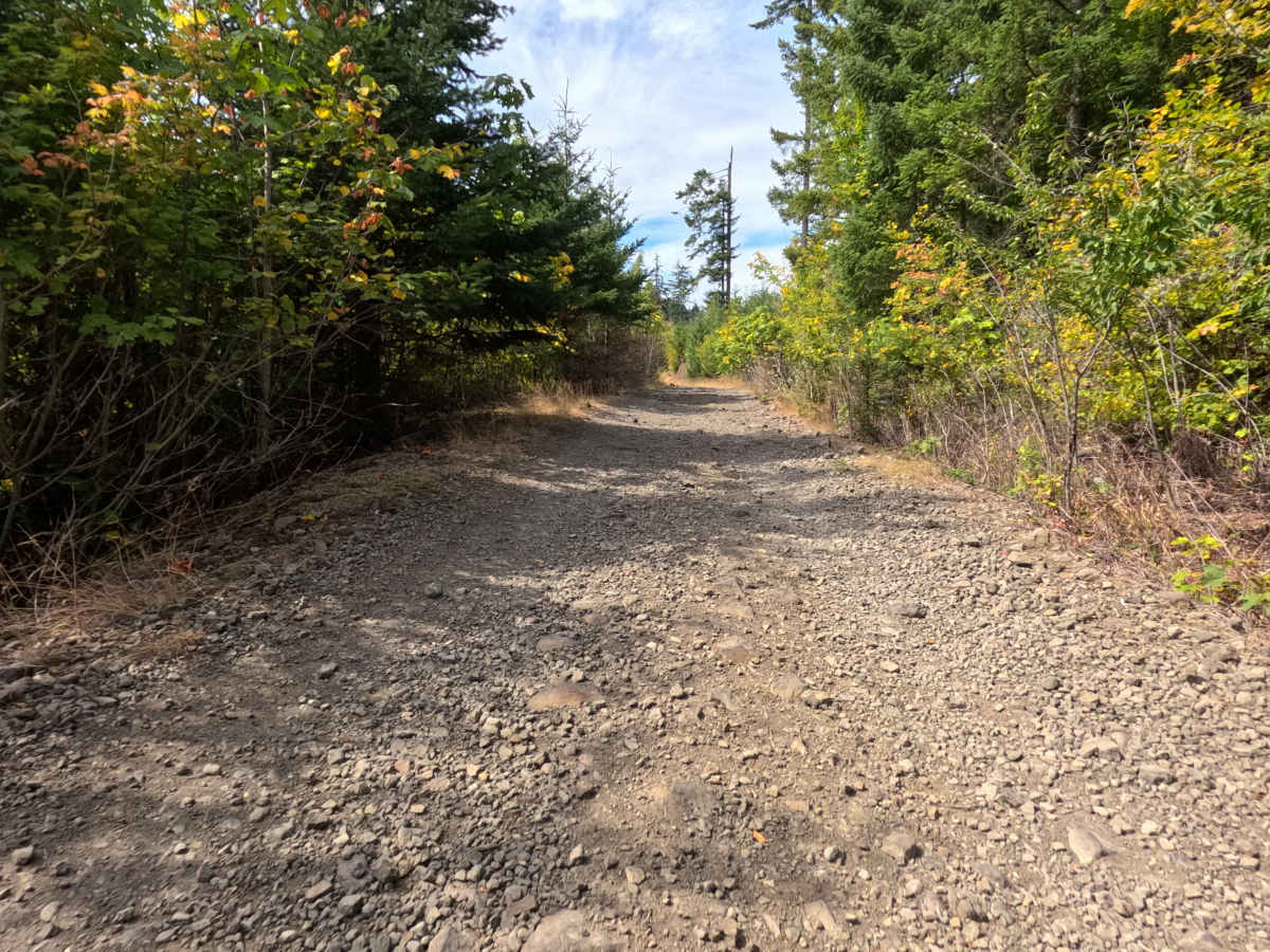 Carson Creek Road photo 6