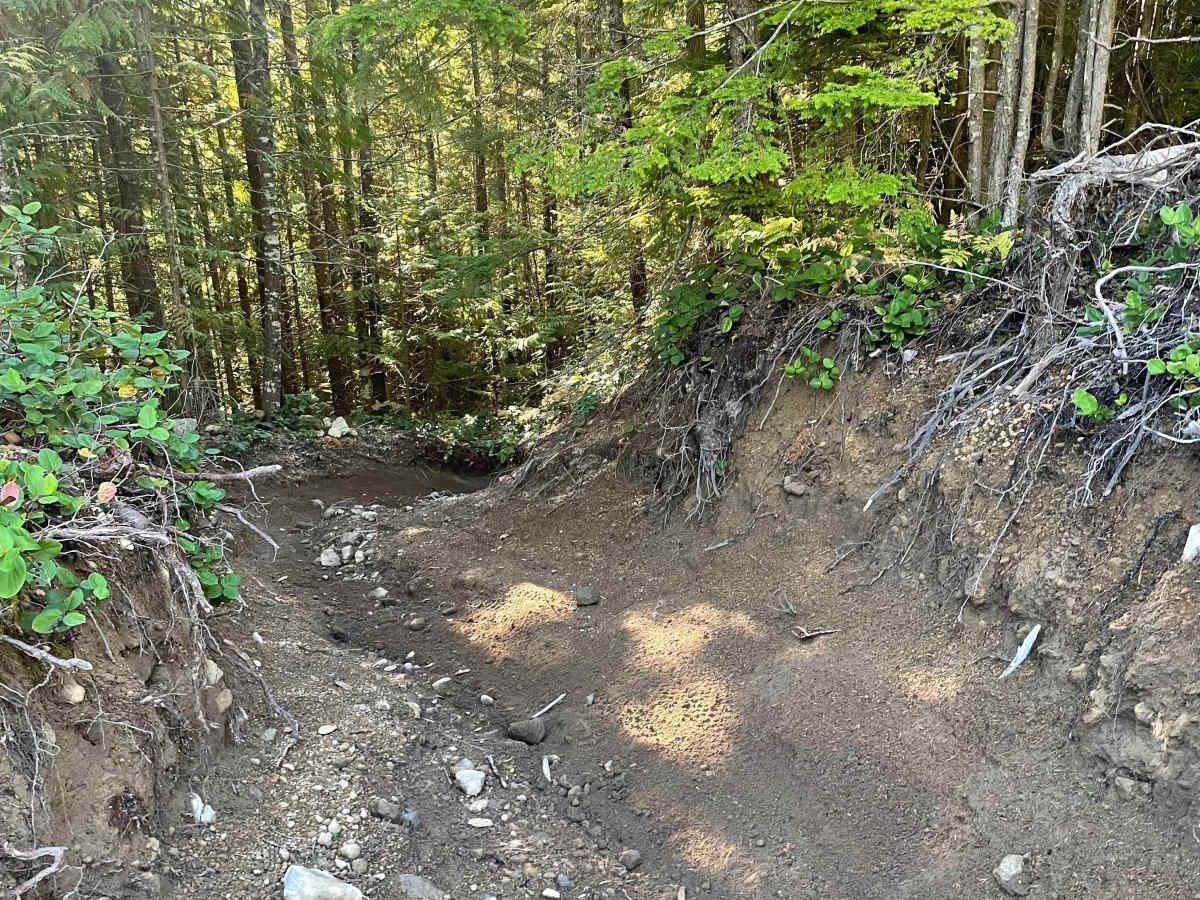 Deep Woods Part 2 photo 2