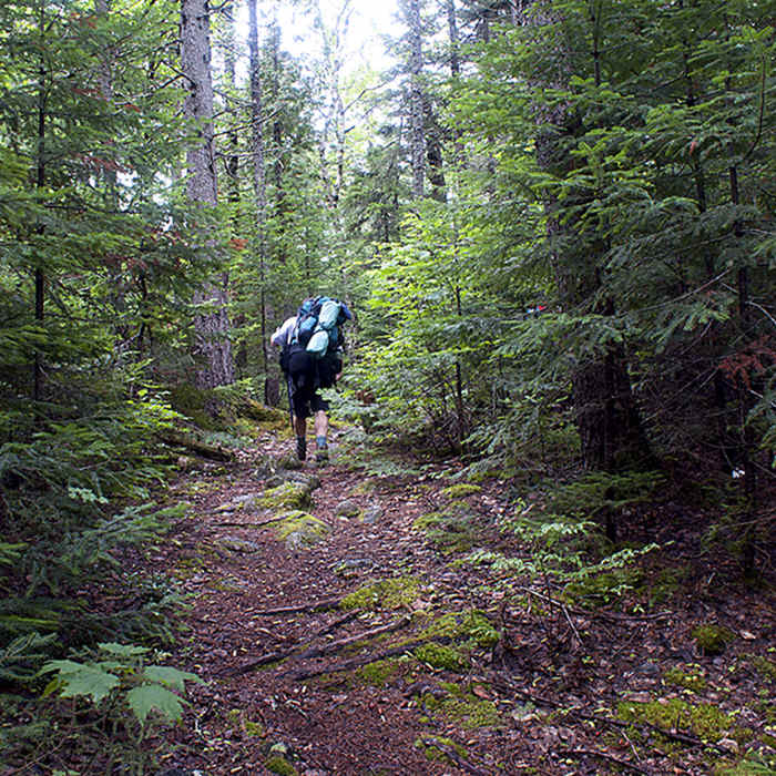 Near Wassataquoik Lake