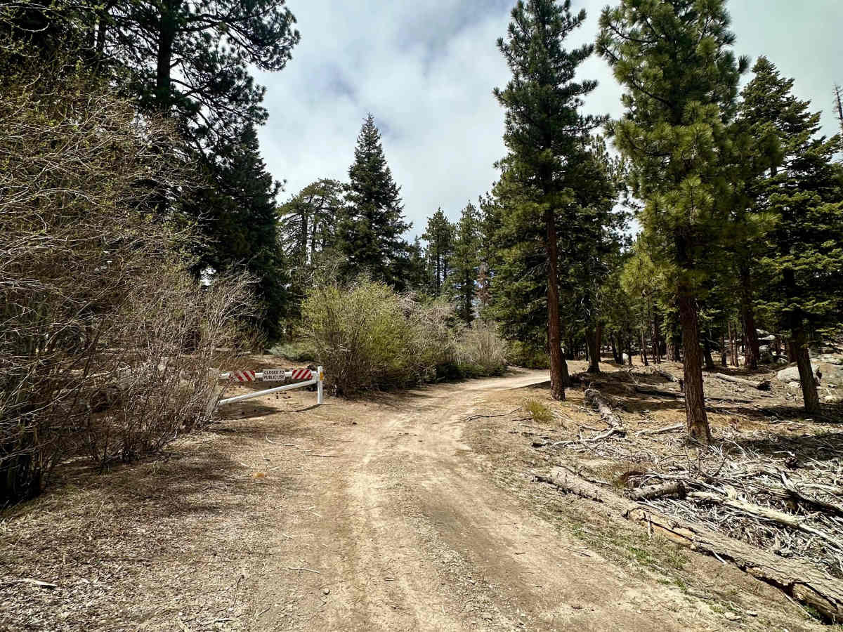 Kidd Creek - FS 2N86 photo 6
