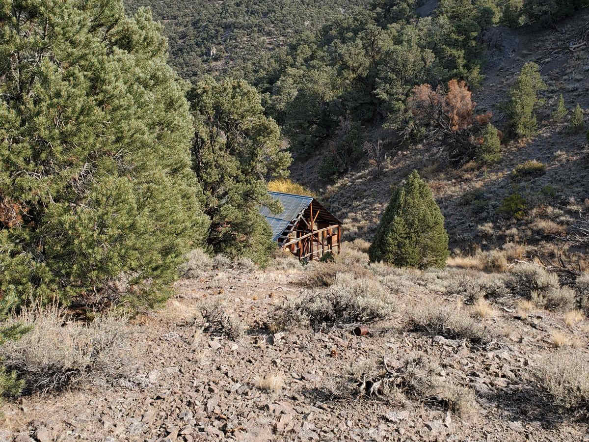 Masonic Mine trail photo