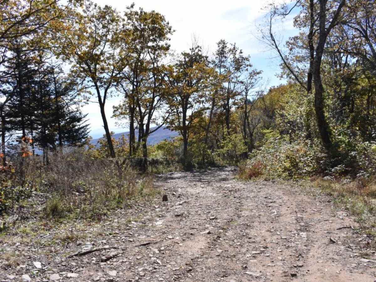 Bother Flagpole Knob Trail photo 2
