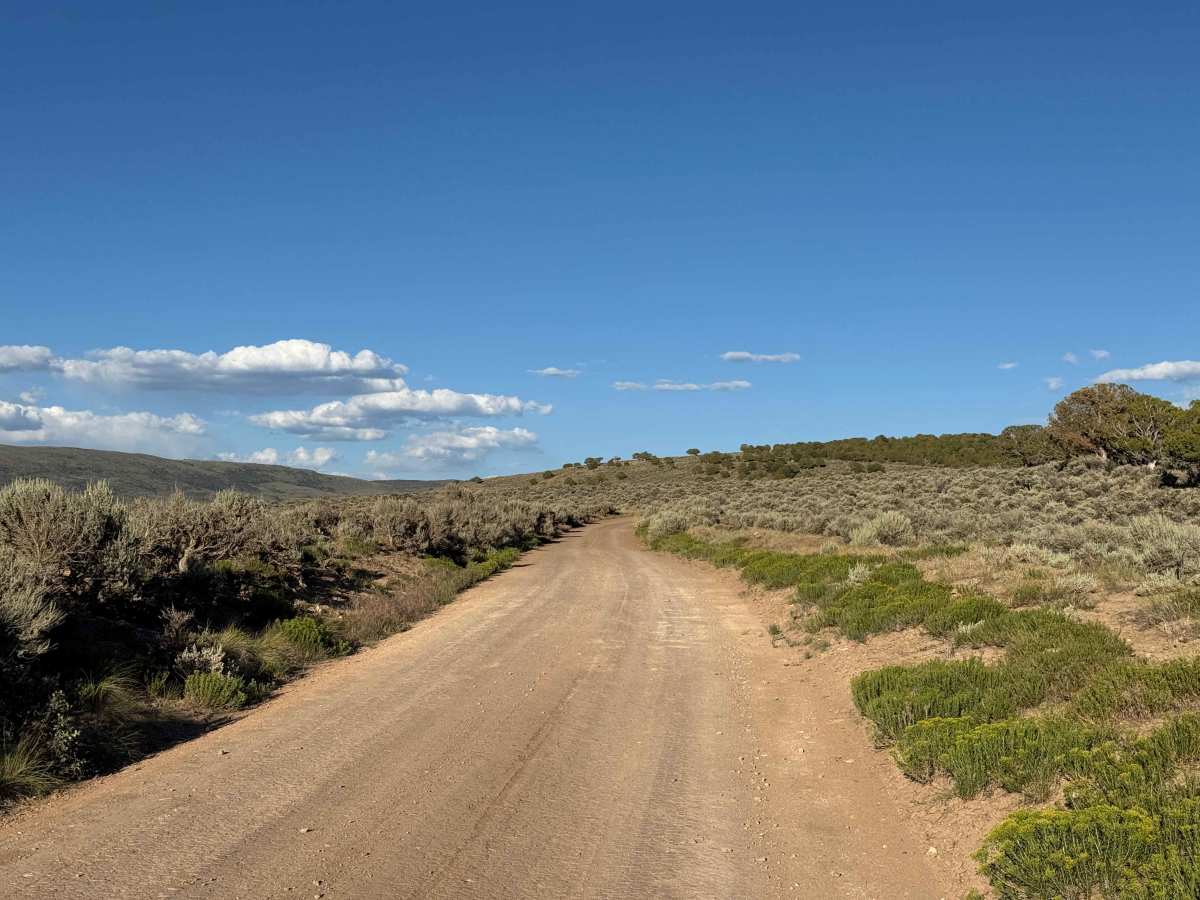 Bellyache Road - BLM 21 photo 6