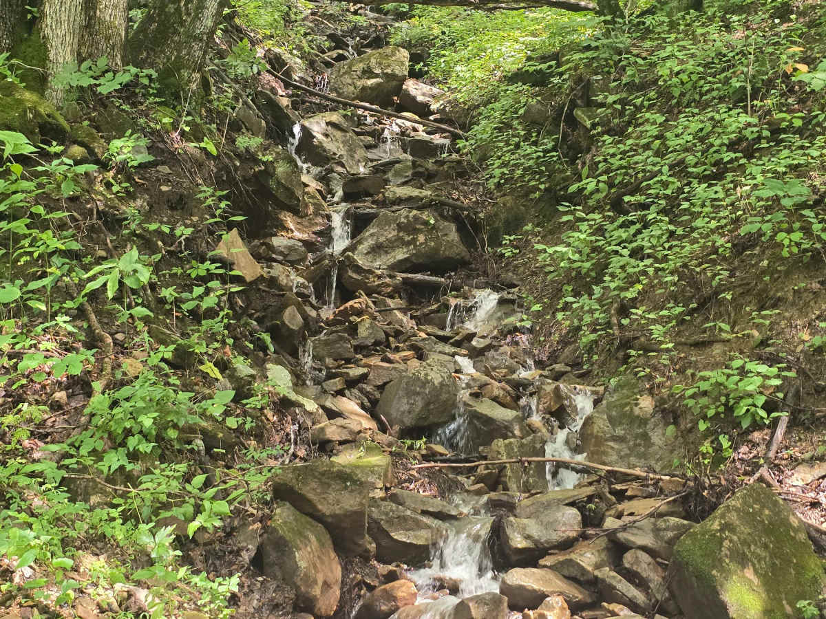 Massingale Mountain Road photo 6