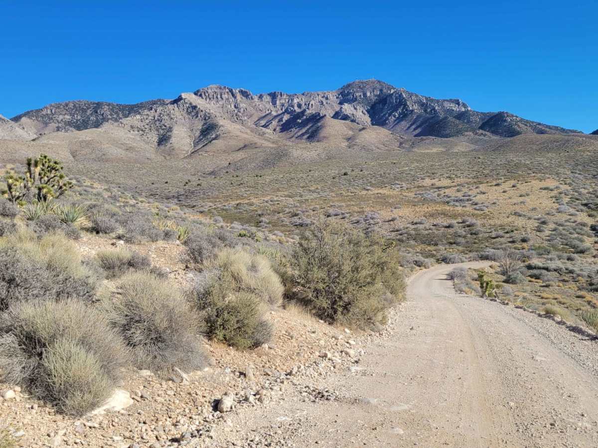 Jackson Wash photo 2
