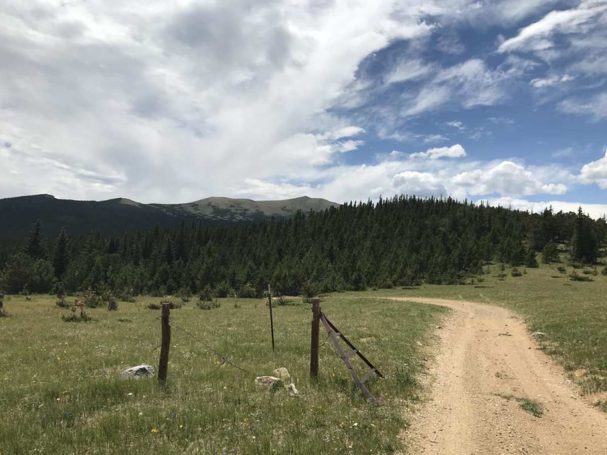 N Clear Creek Road photo 6