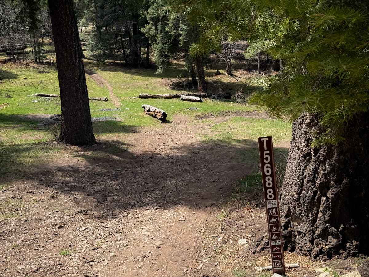 Pines North Trail  photo 6