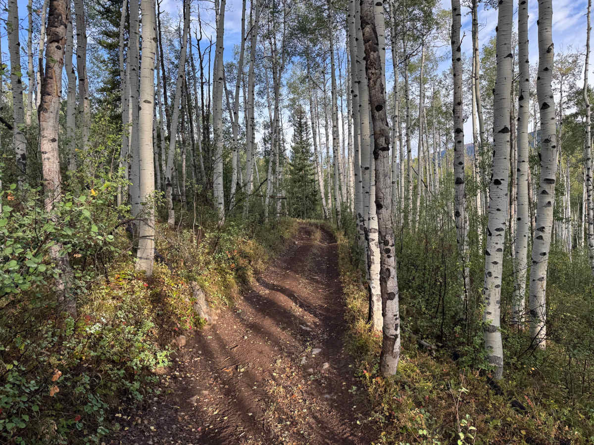 Little Deadman Road photo 3