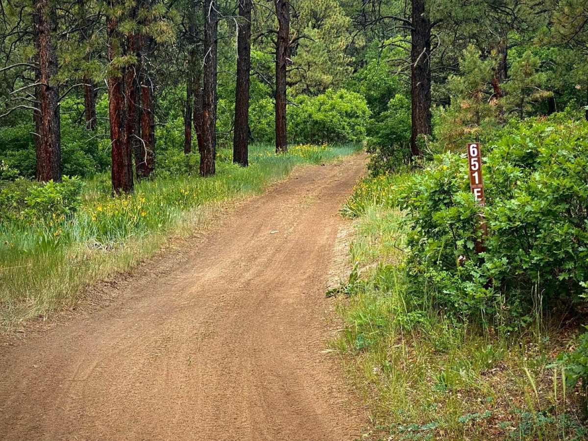 Eight Mile Mesa E-USFS Rd #651E photo 5