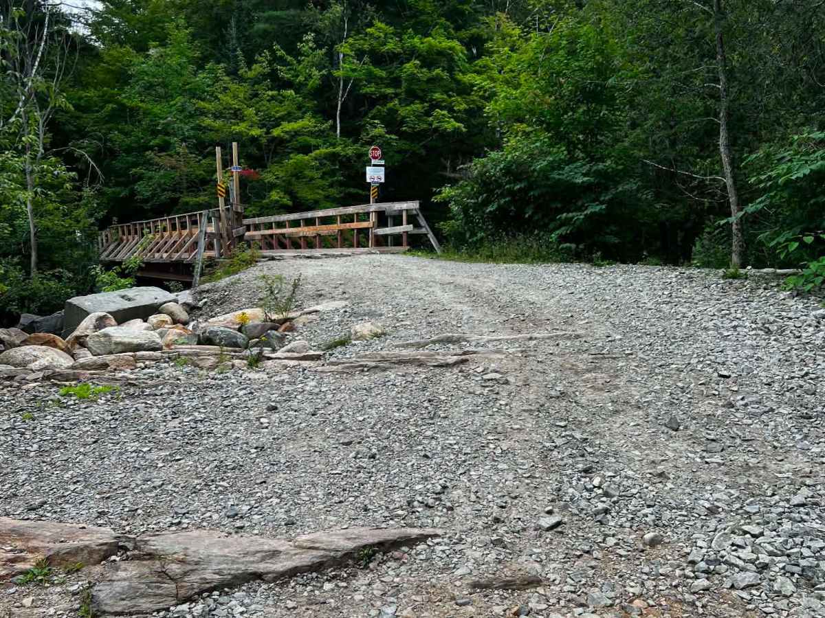 Oxtongue photo 6