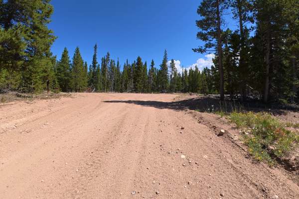Pinkham Circle Road