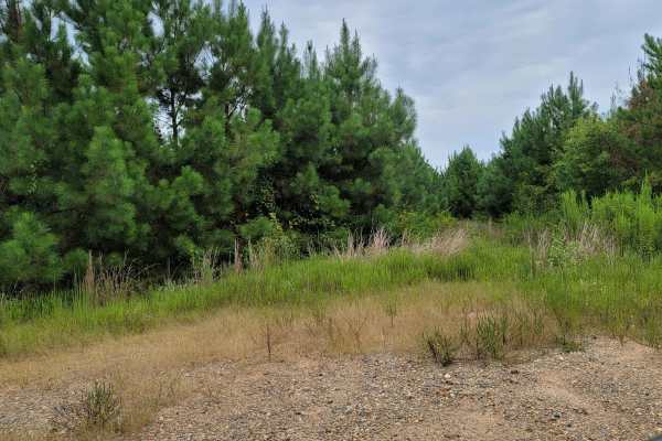 Bois d'Ark Trail back to Interstate 30
