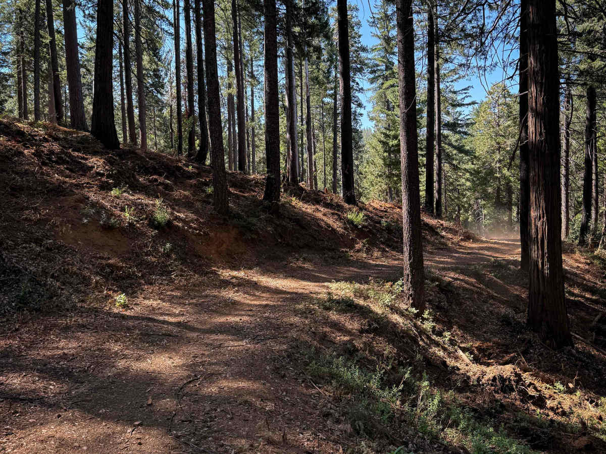 Trail 1-3 (11E30) photo 5