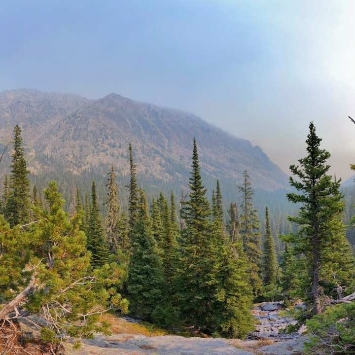 Near Blue Lake Trail #118