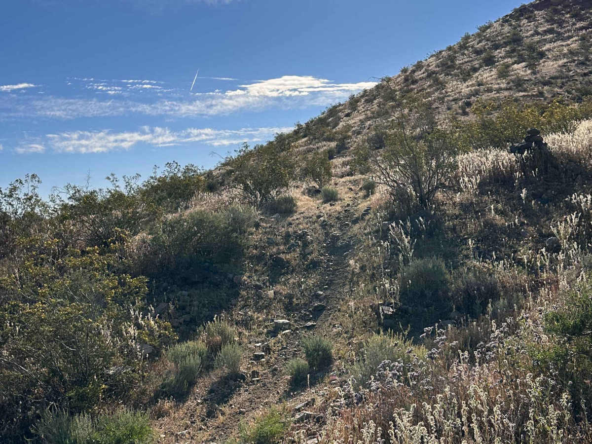 High Desert Hook photo 3