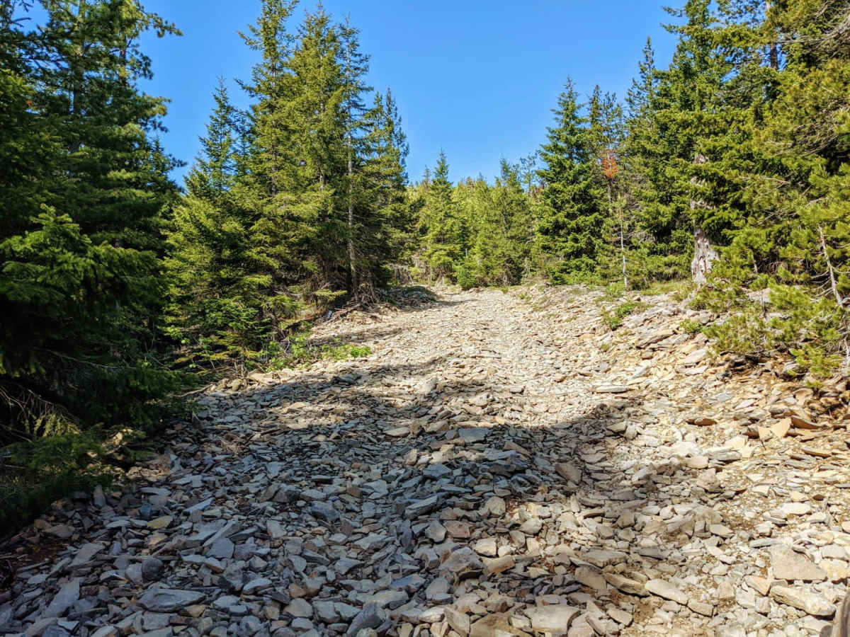 Mount Defiance - NF 2821000 photo 4