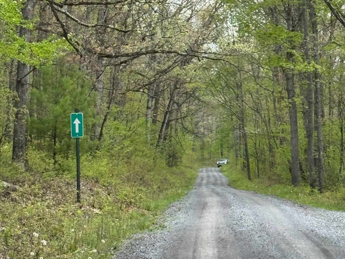 Boone Road photo 5