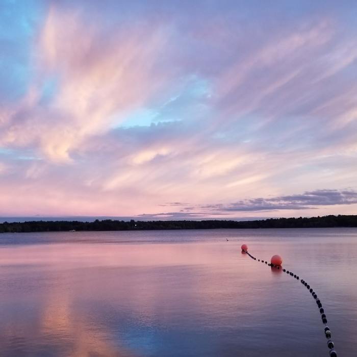 Near Massapoag Trail