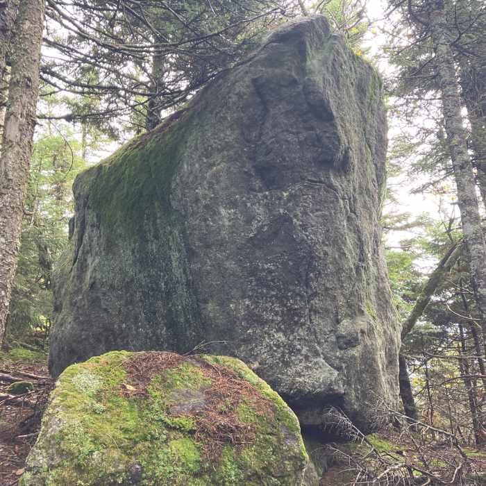 Large Boulder. Near Moriah Brook Trail