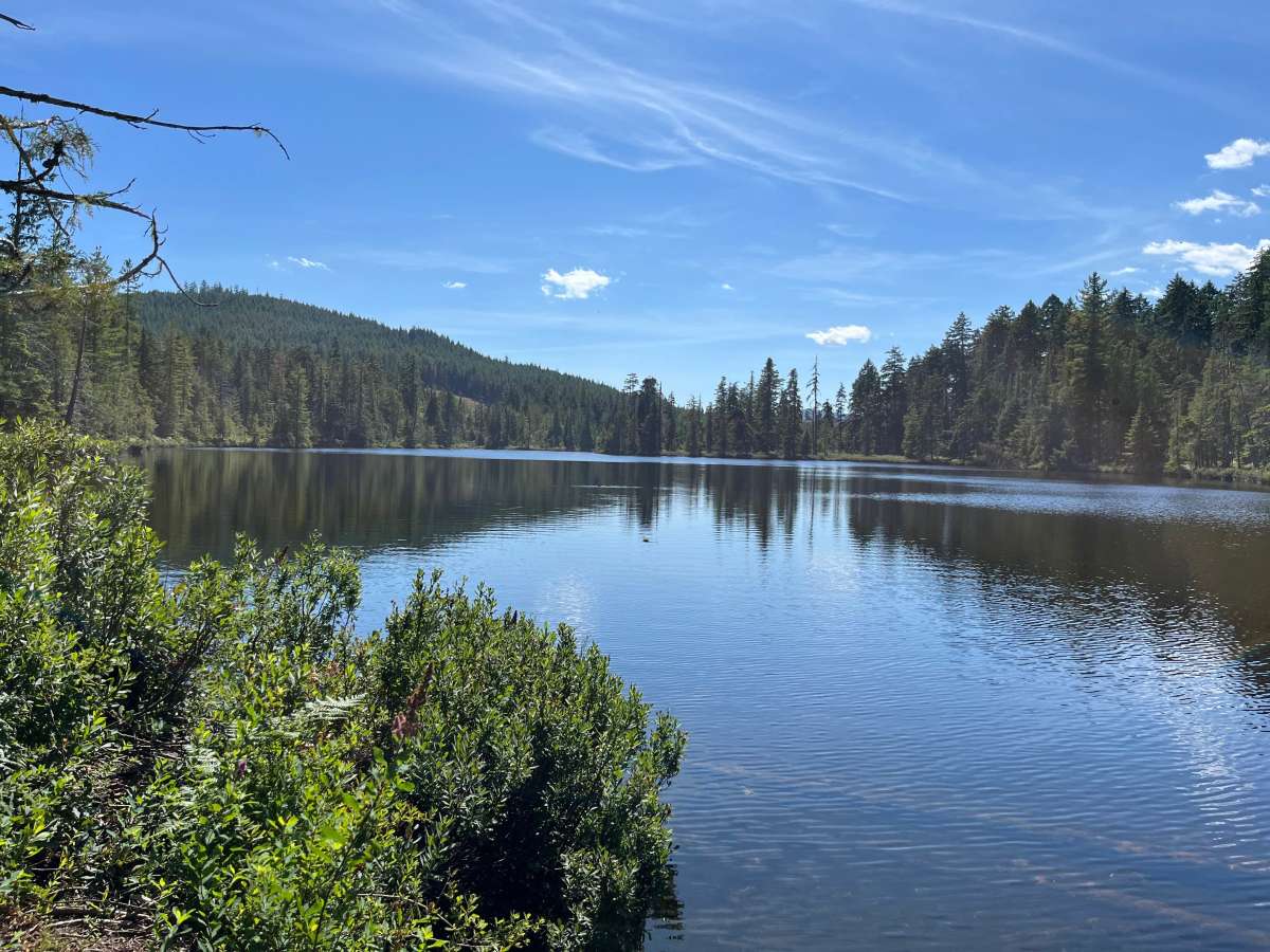 Wild Dear Lake photo 4