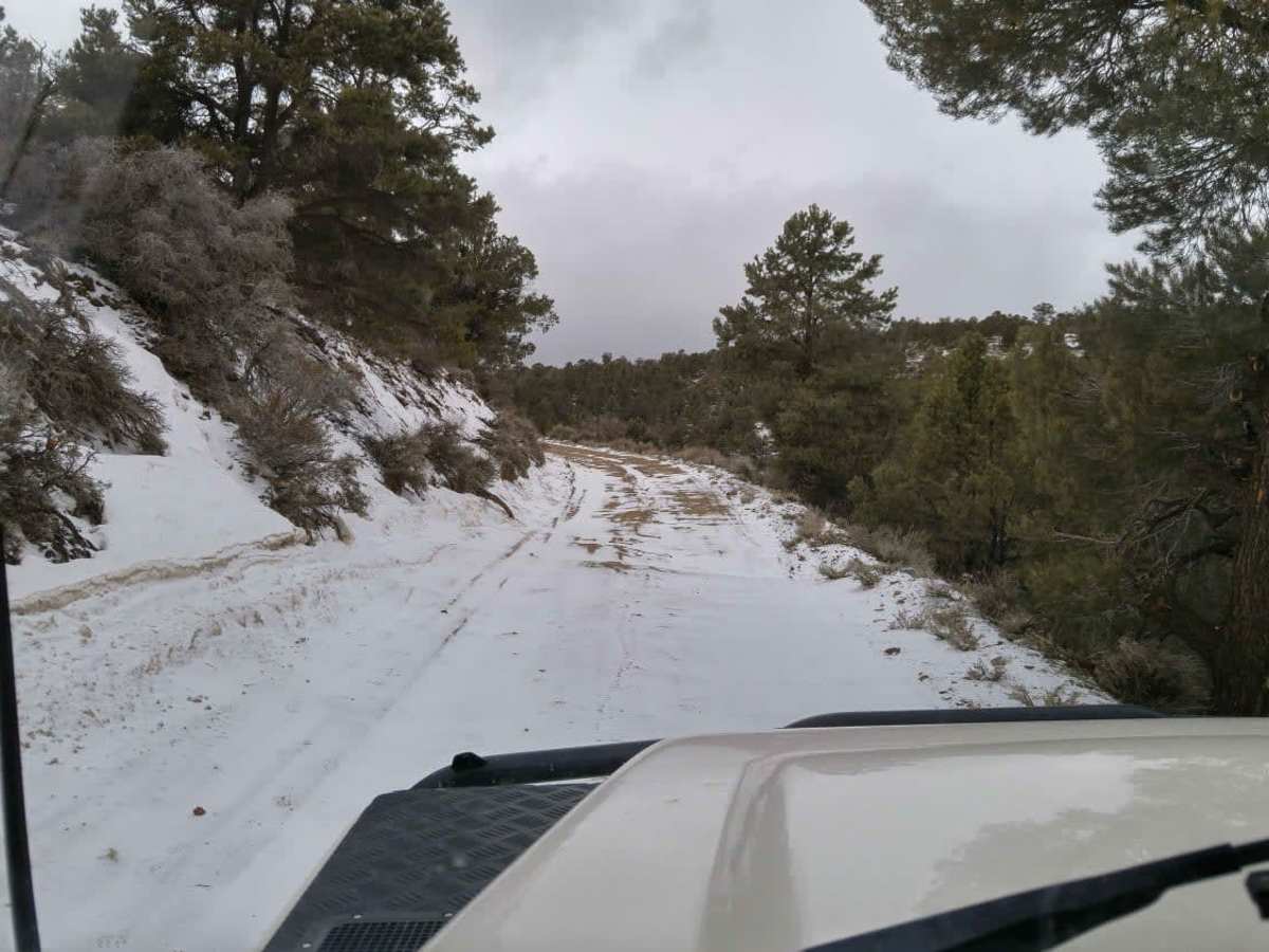 Burns Canyon Road - NF 2N02 photo 3