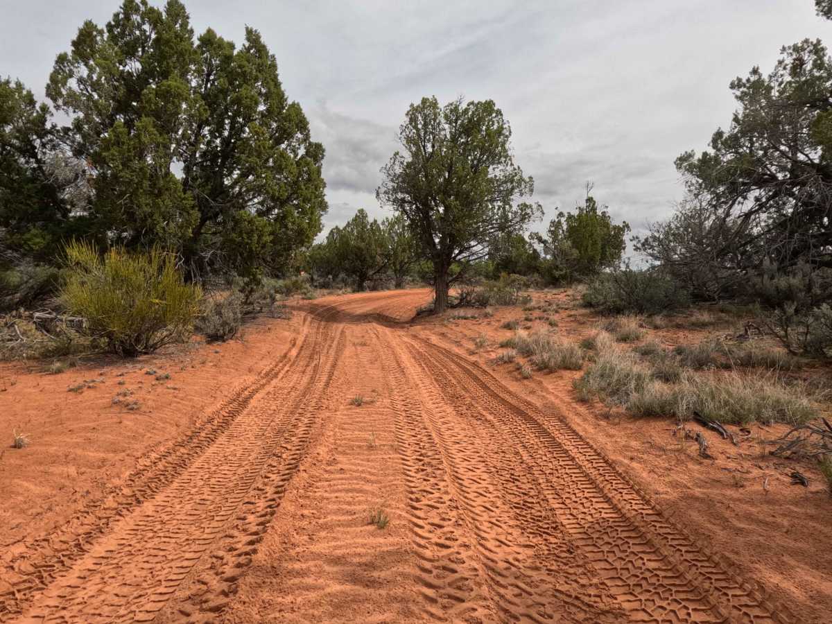 BLM 64J photo 2