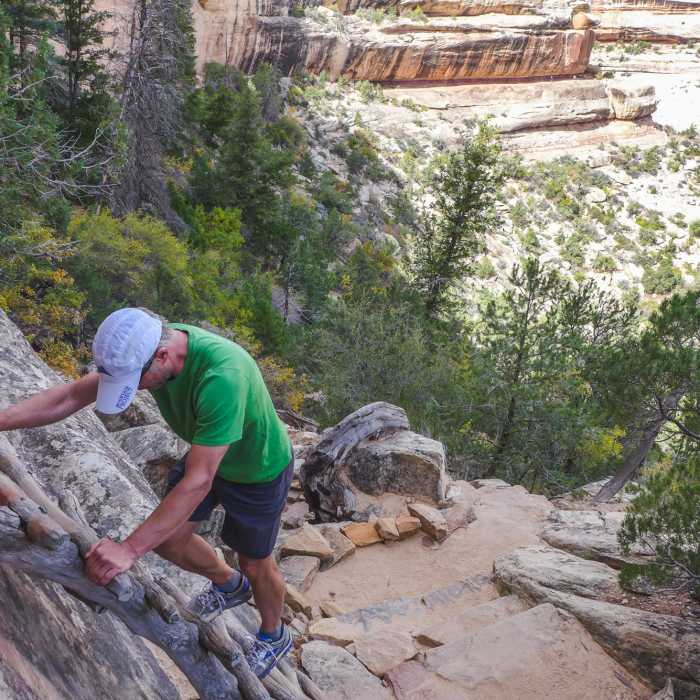 Fun little ladder you have to climb while on trail. Near Natural Bridges National Monument Full Loop