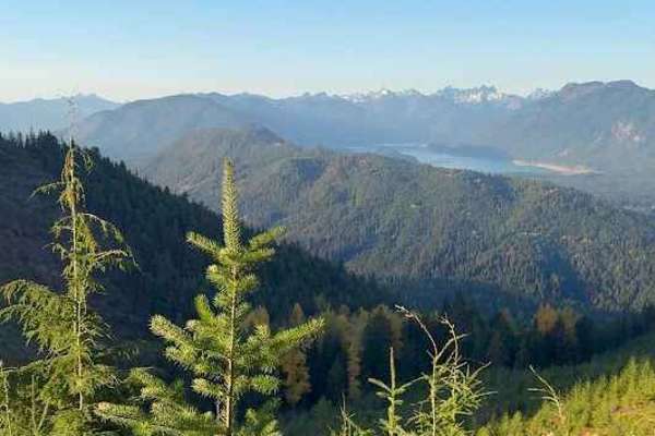 Tucker Creek Road
