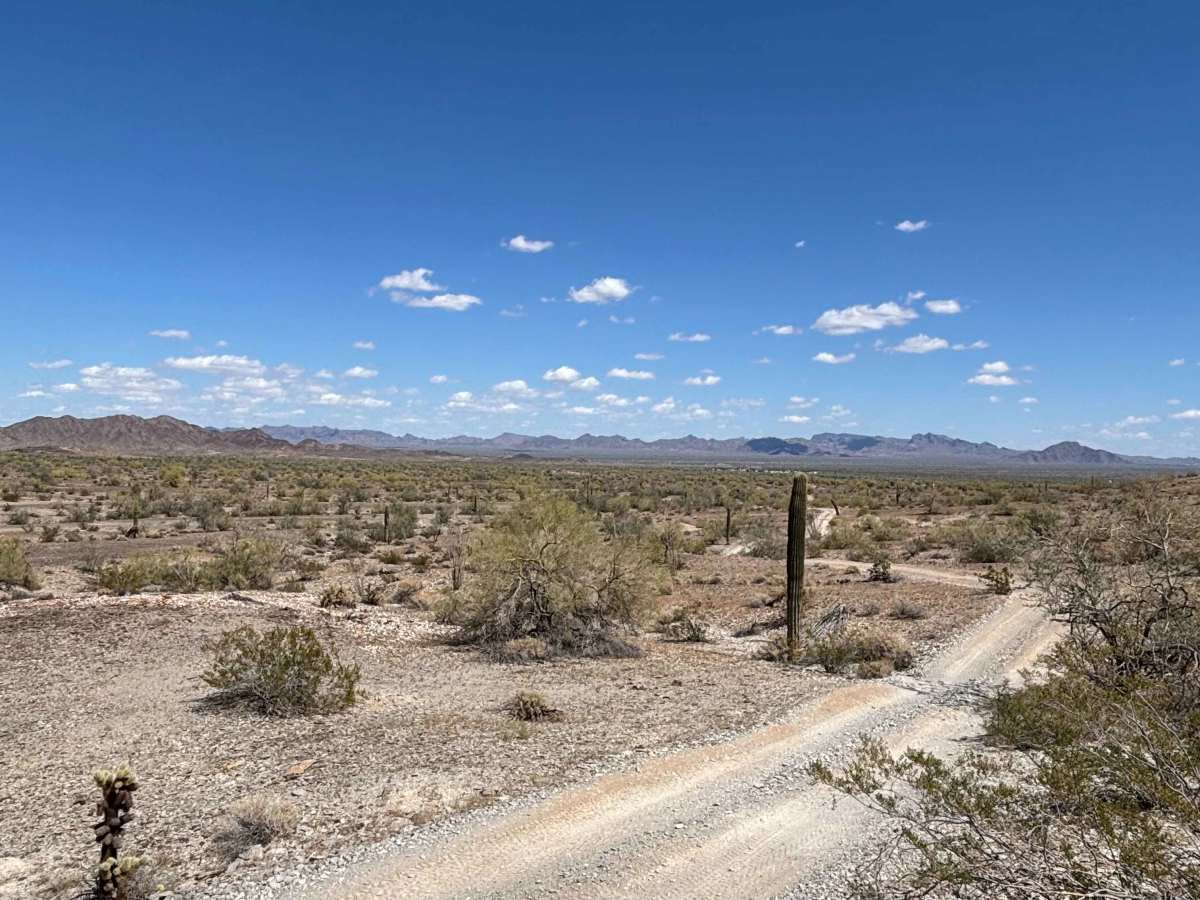 BLM 0133 photo 6