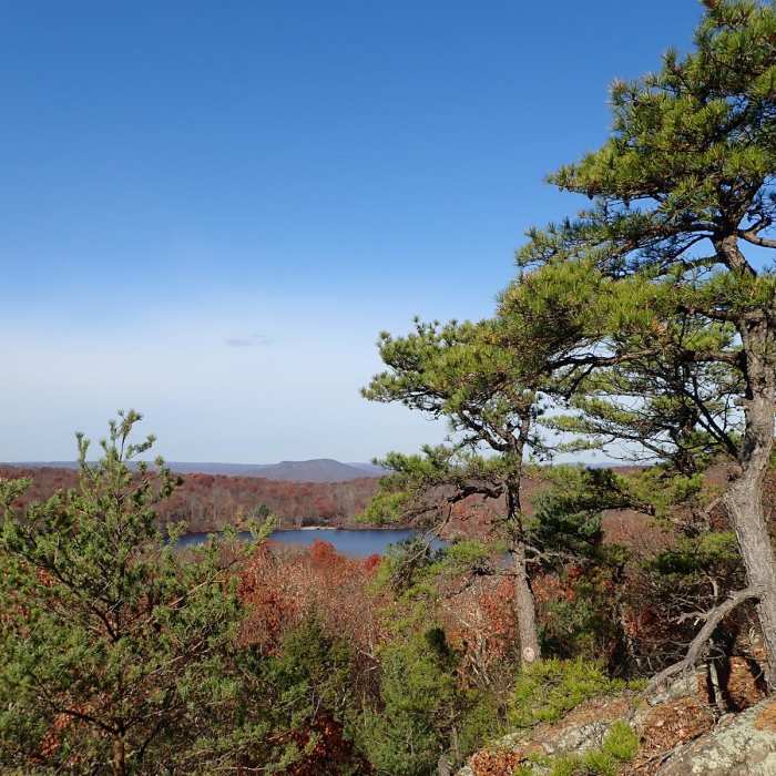 Near Ramapo Lake - Castle Point Loop