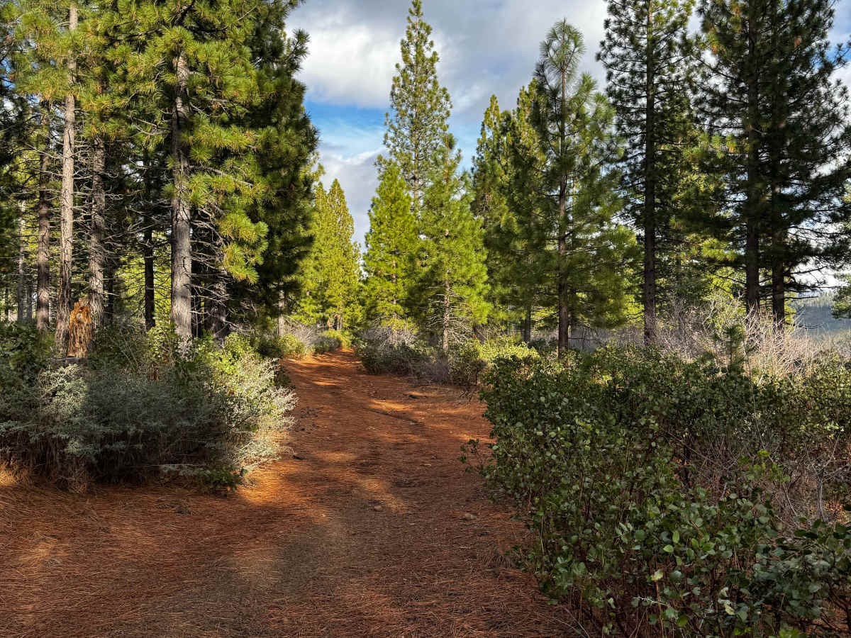 Macedon Plantation Spur (Bypass) photo 2