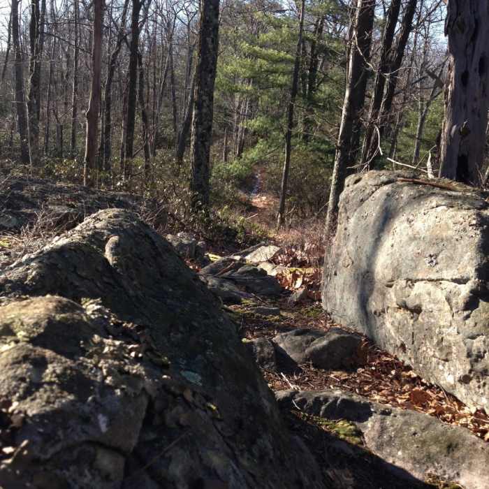 Near Little Mountain Trail
