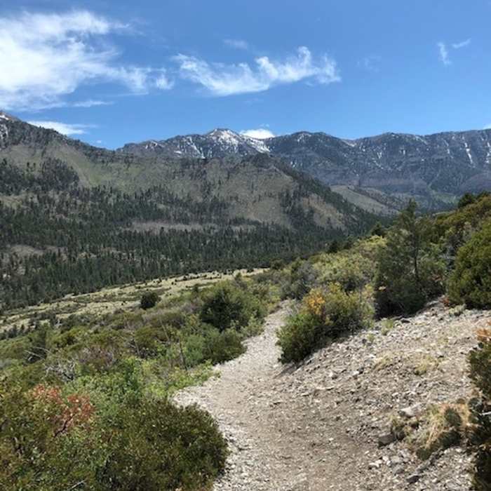 Near Eagle's Nest Trail