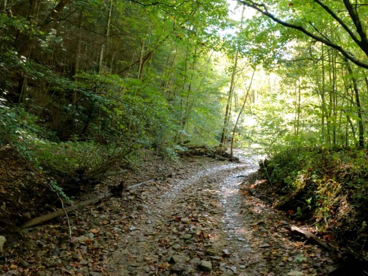 Sinking Creek photo 4