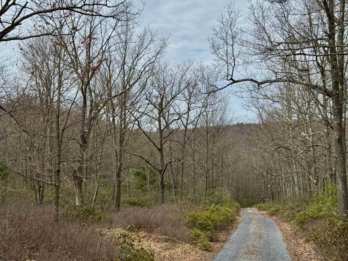 Mill Run Road photo 6