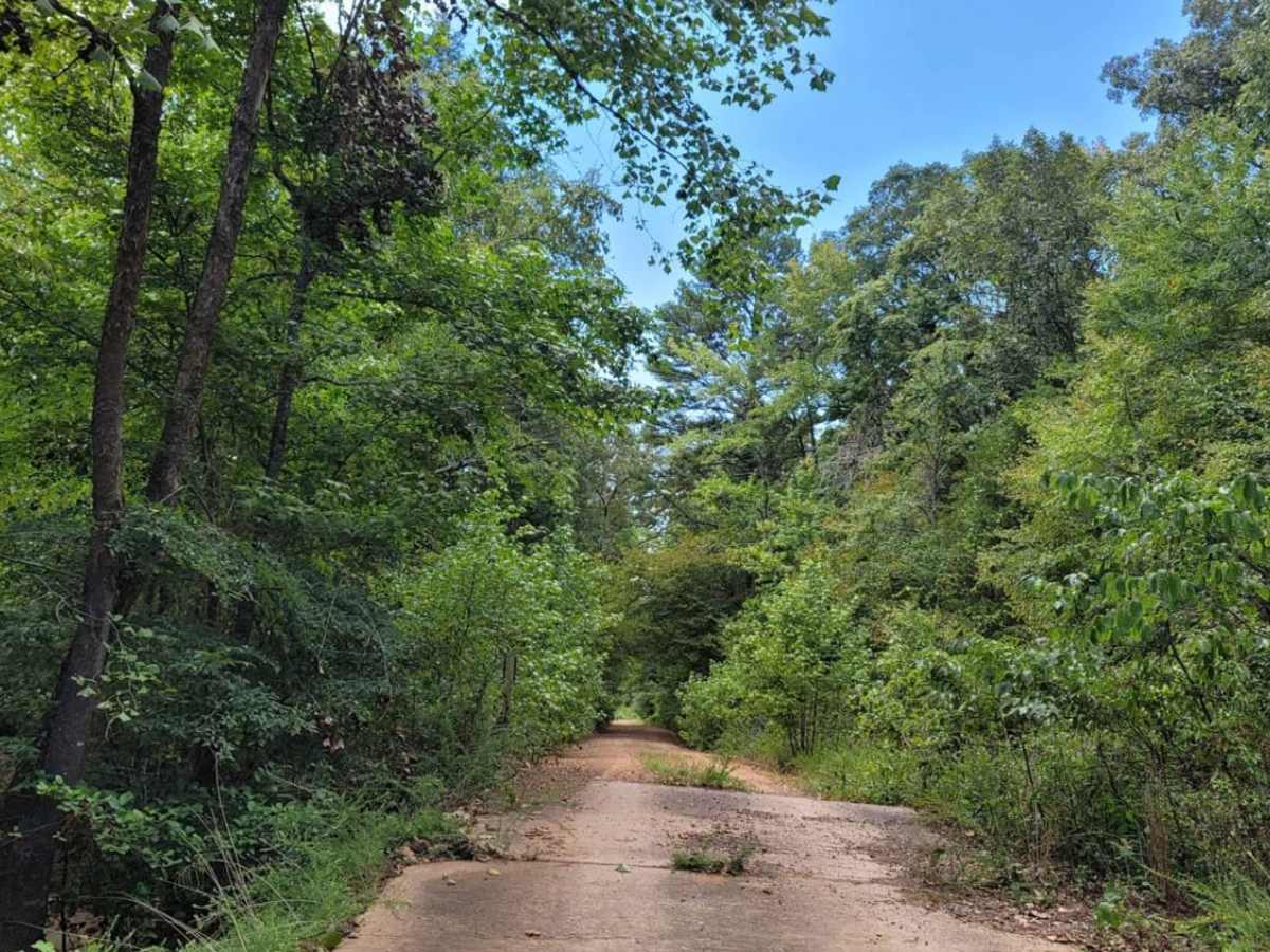 Muddy Creek WMA photo 6
