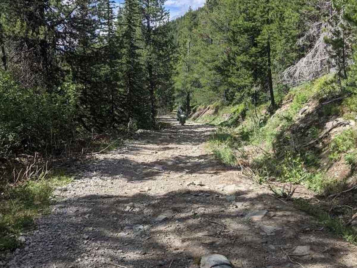 Ferrell Trail  photo 3