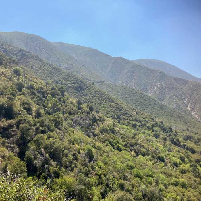 Near Lukens and Condor Loop