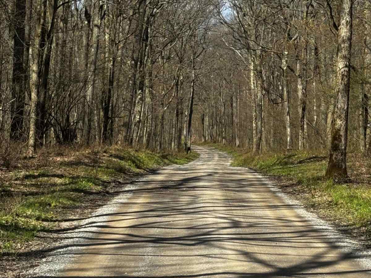 Dubeck Road photo 5
