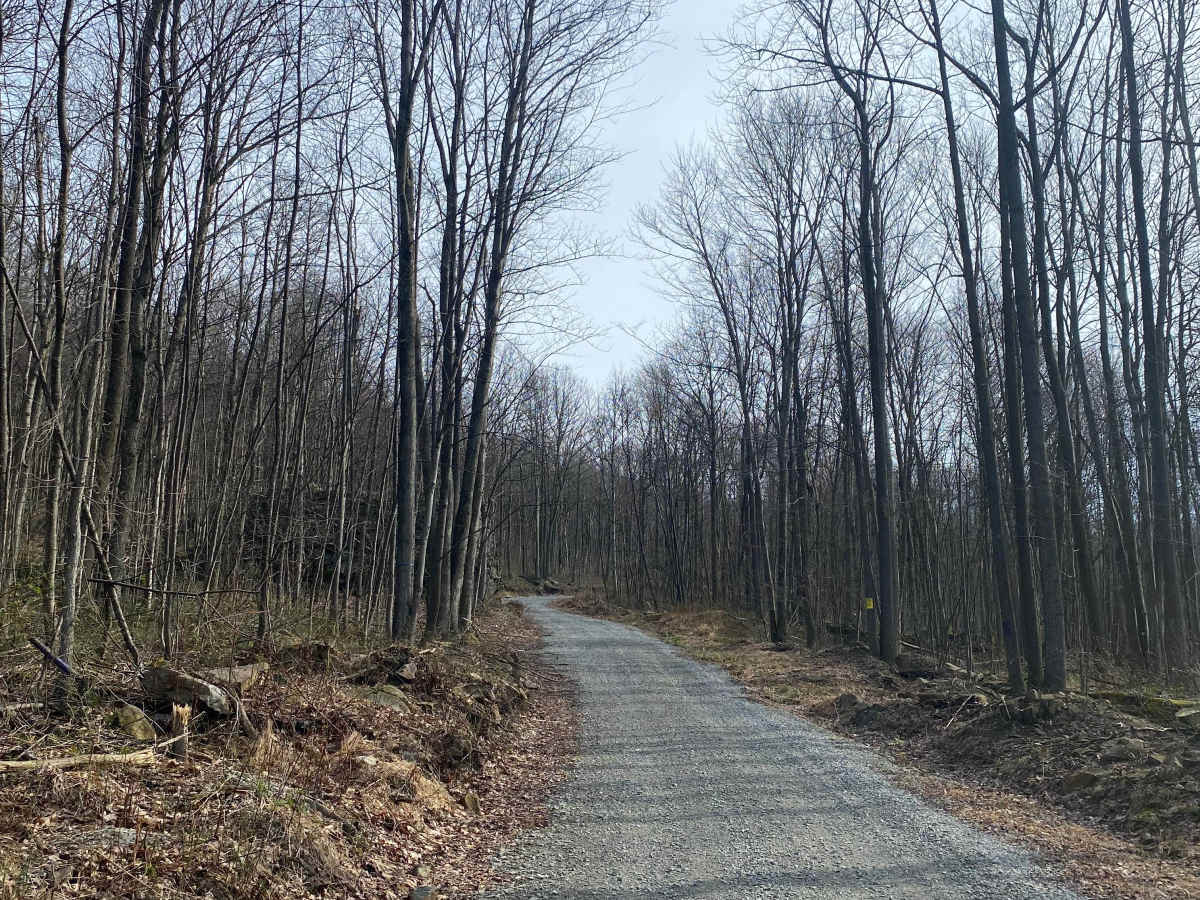 Greenlick Hollow photo 2