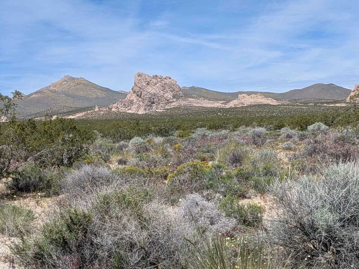 BLM LA2 Highway 178 South photo 5