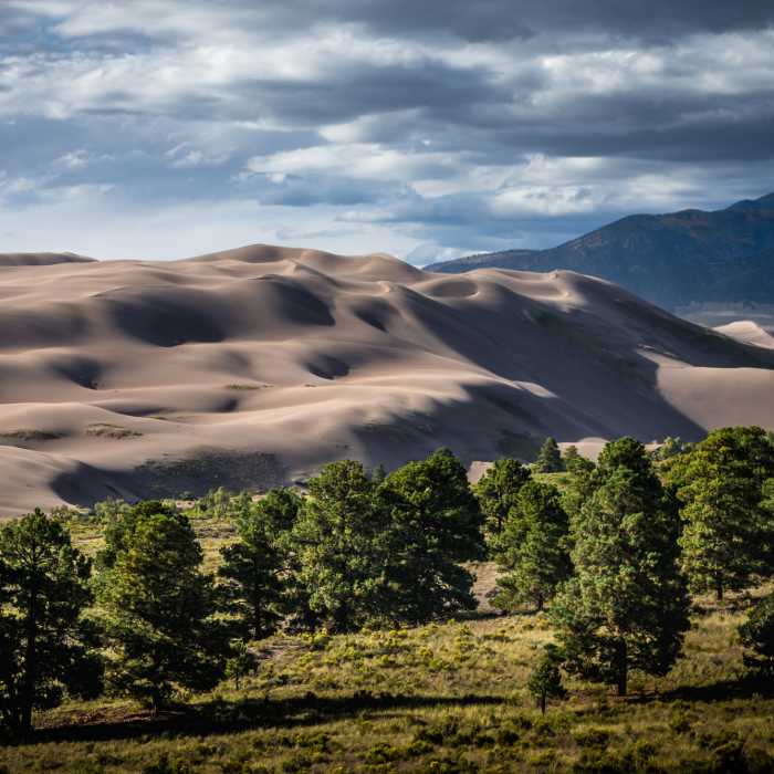 Near Sand Ramp Trail