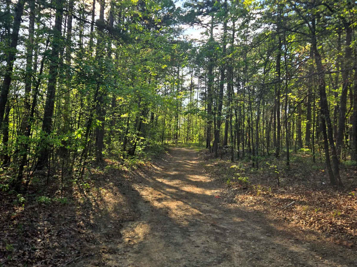 Ford Ridge trail photo