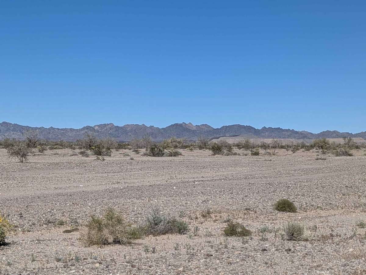 BLM 617 photo 2