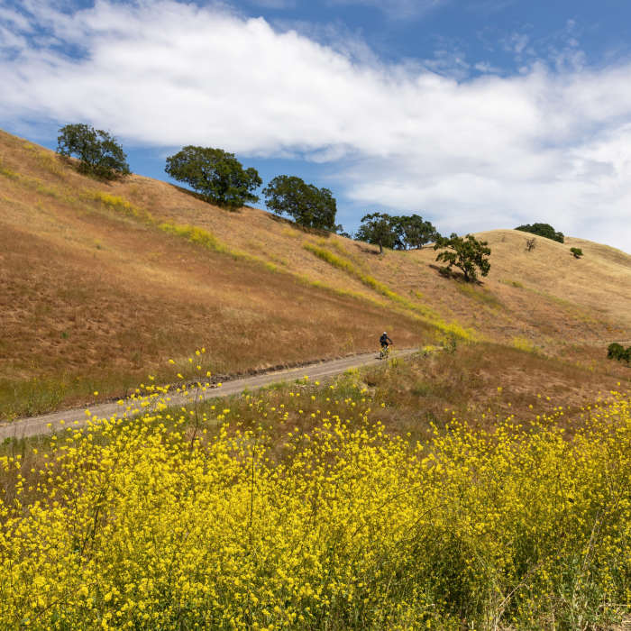 Near Stage Road Loop